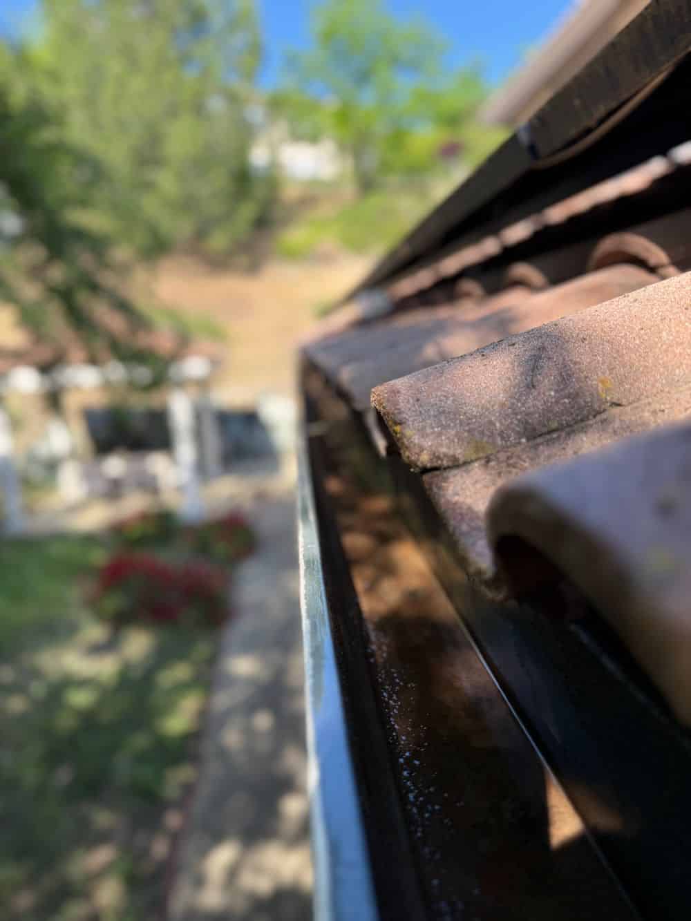 Soft Washing image