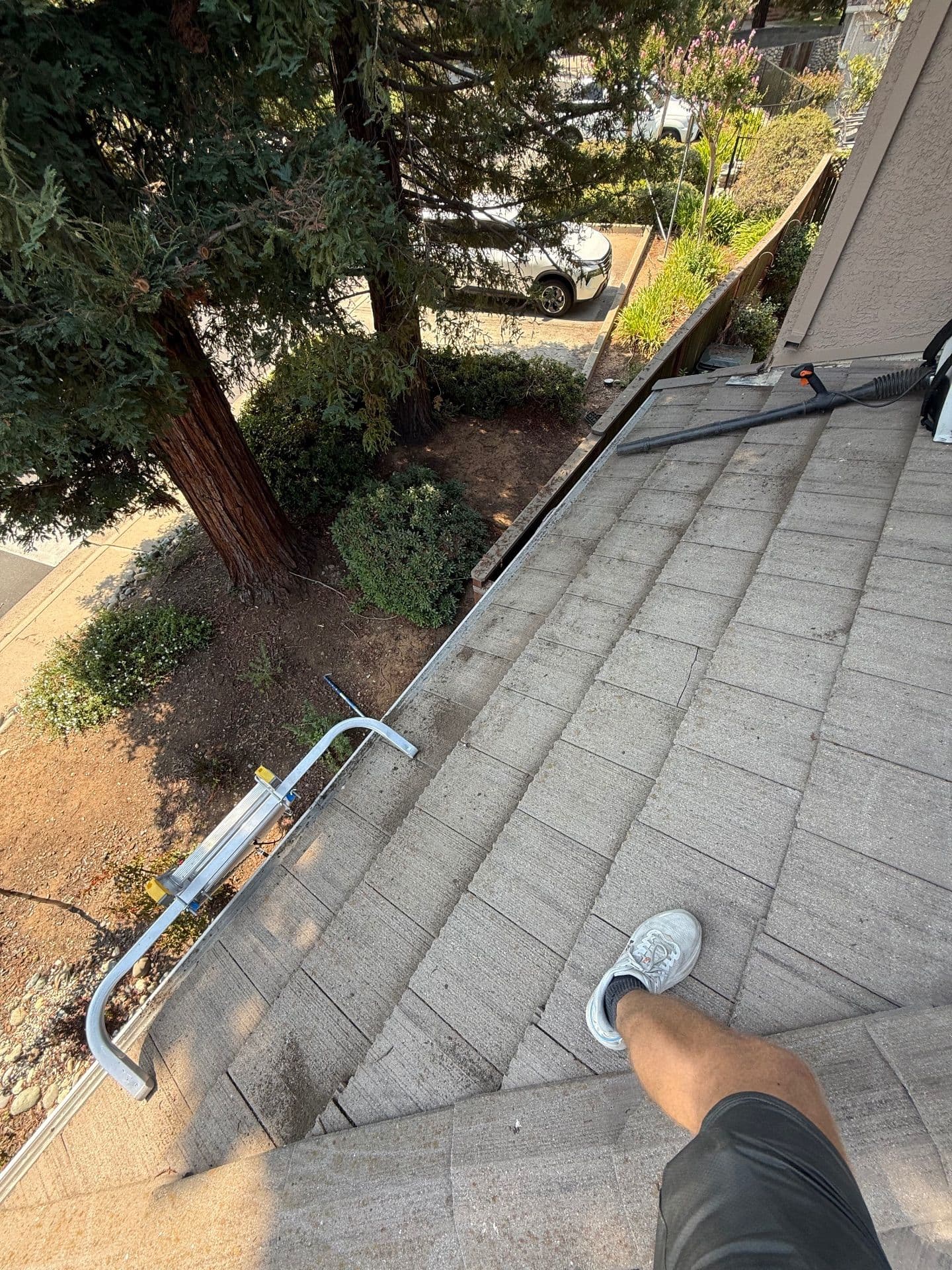 Gallery photos for Expert Roof Cleaning in Folsom Enhances Durability: Image #1