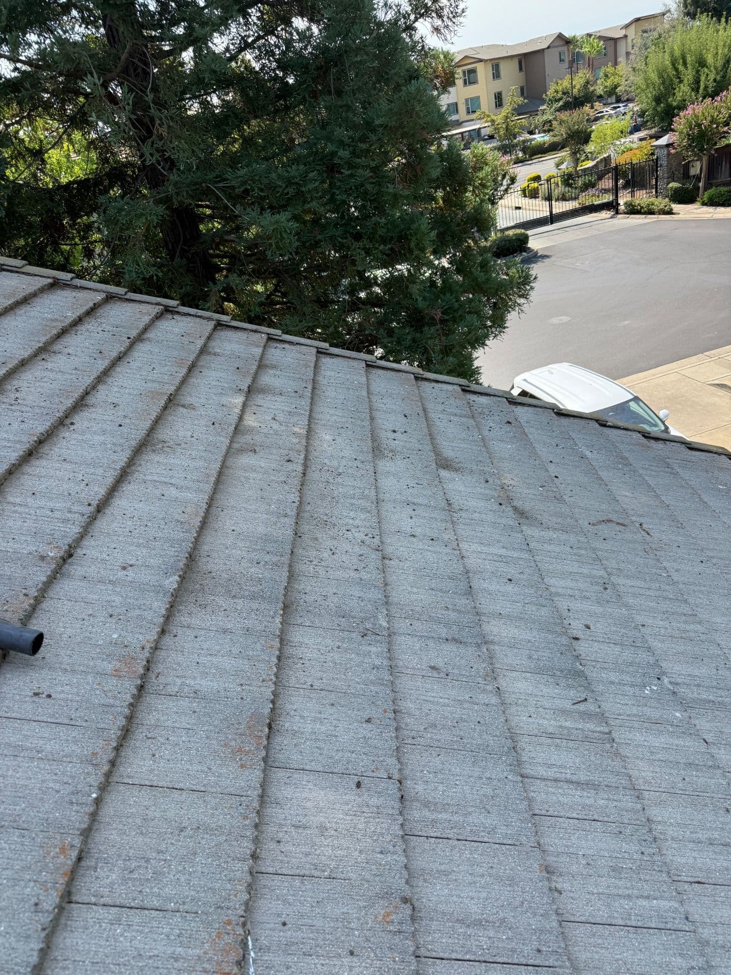 Gallery photos for Expert Roof Cleaning in Folsom Enhances Durability: Image #5