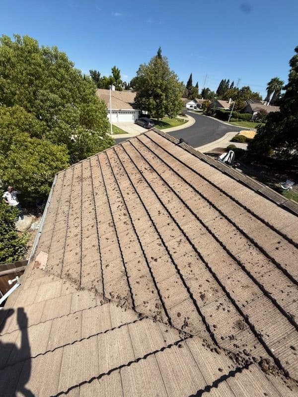 Transform Your Home with Expert Roof and Window Care image