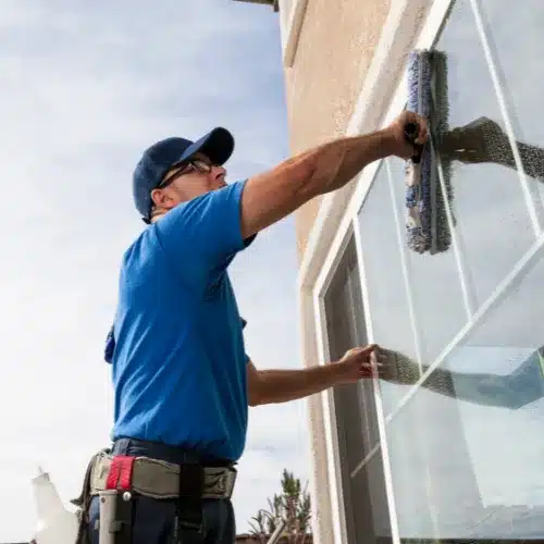 Thriving Exterior Cleaning Services