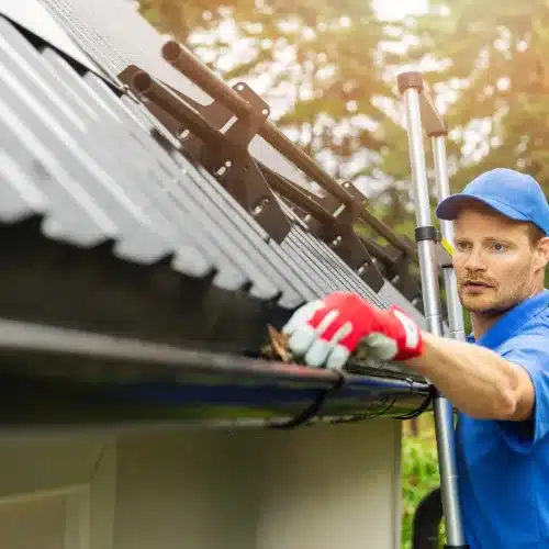 Thriving Exterior Cleaning Services