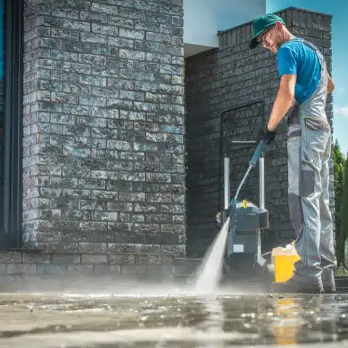 Thriving Exterior Cleaning Services