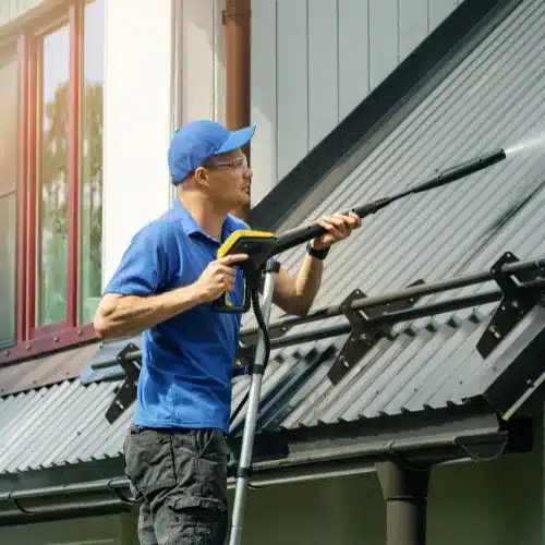 Thriving Exterior Cleaning Services