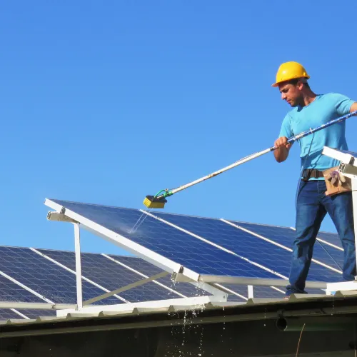 Thriving Exterior Cleaning Services